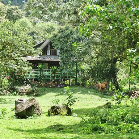 Mindo Eco Chalet Con Rio Y Cascada Екстер'єр фото