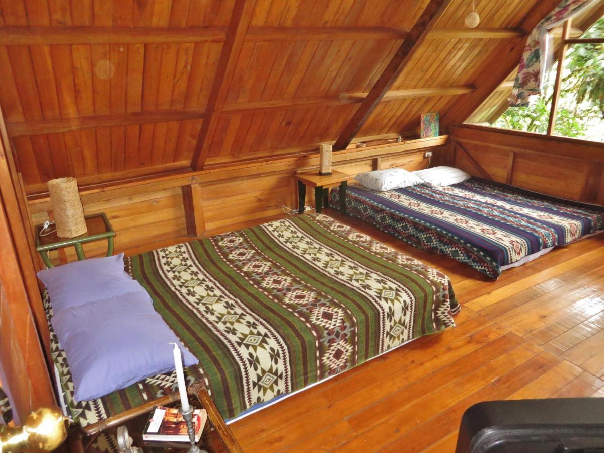 Mindo Eco Chalet Con Rio Y Cascada Екстер'єр фото