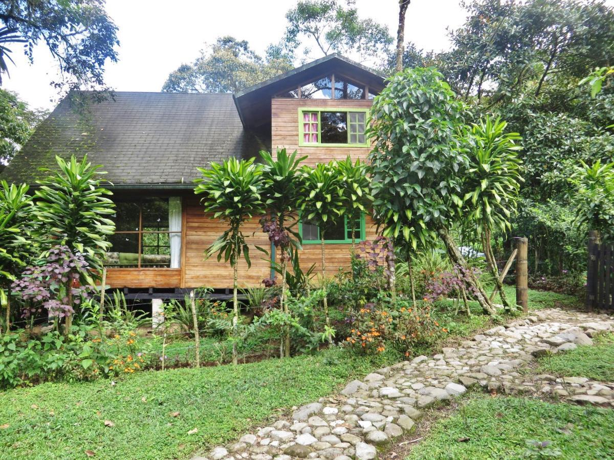 Mindo Eco Chalet Con Rio Y Cascada Екстер'єр фото