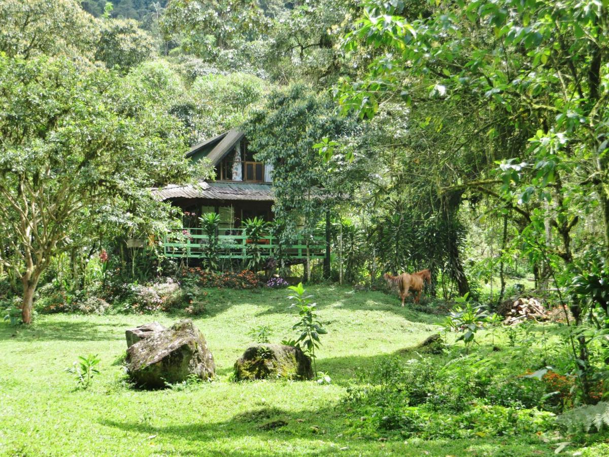 Mindo Eco Chalet Con Rio Y Cascada Екстер'єр фото
